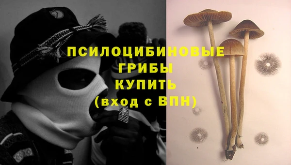 ПСИЛОЦИБИНОВЫЕ ГРИБЫ Белоозёрский